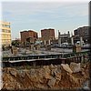 DSC01010.JPG